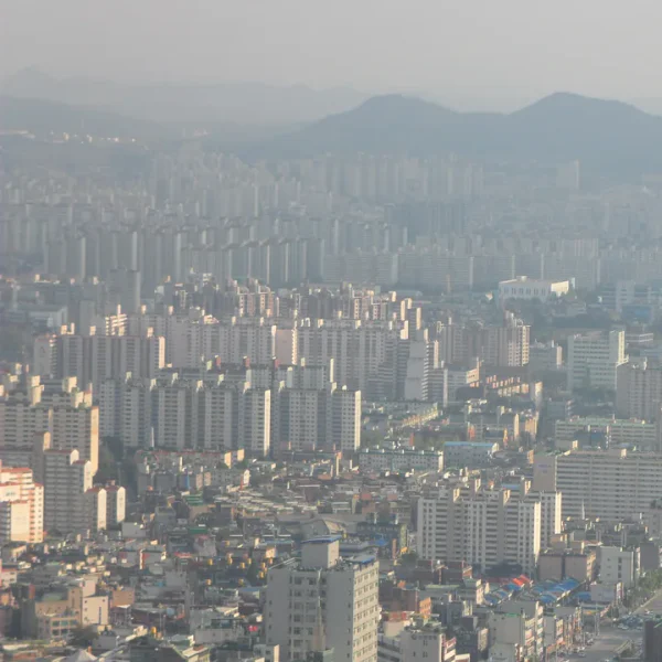 프리미엄 로제나케어 마사지 안내 이미지