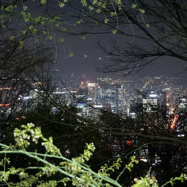 모던 리사룸 마사지 안내 이미지