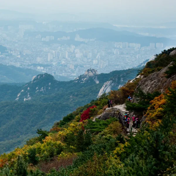로열 가을스튜디오 마사지 안내 이미지